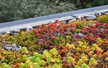the cost of Shiplake Row green roof installation