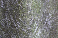 Shiplake Row fibreglass roof work